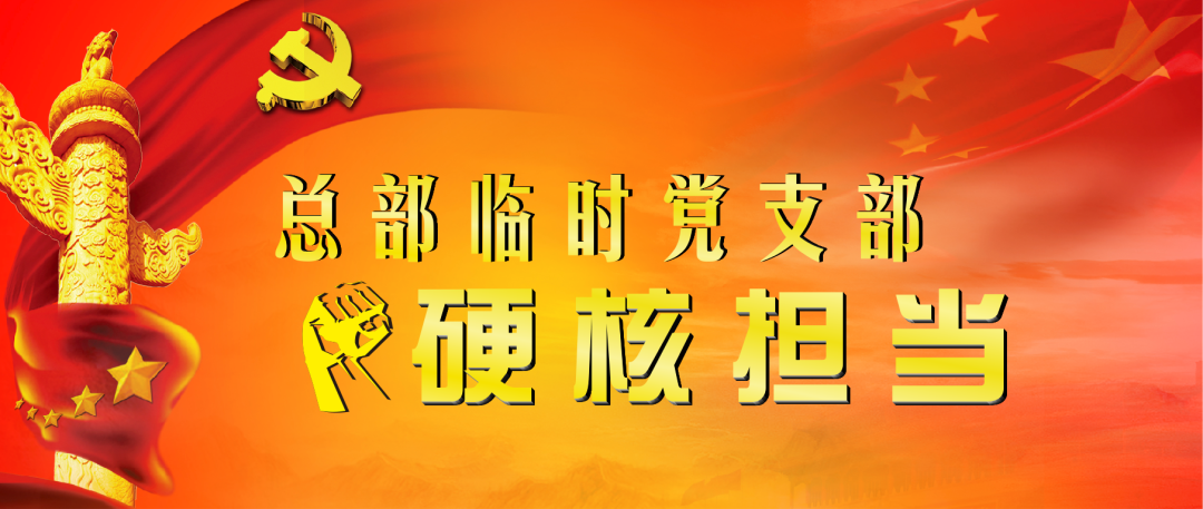 【“总部临时党支部硬核担当”系列报道之三】党建铸根魂 助推“归属融合”